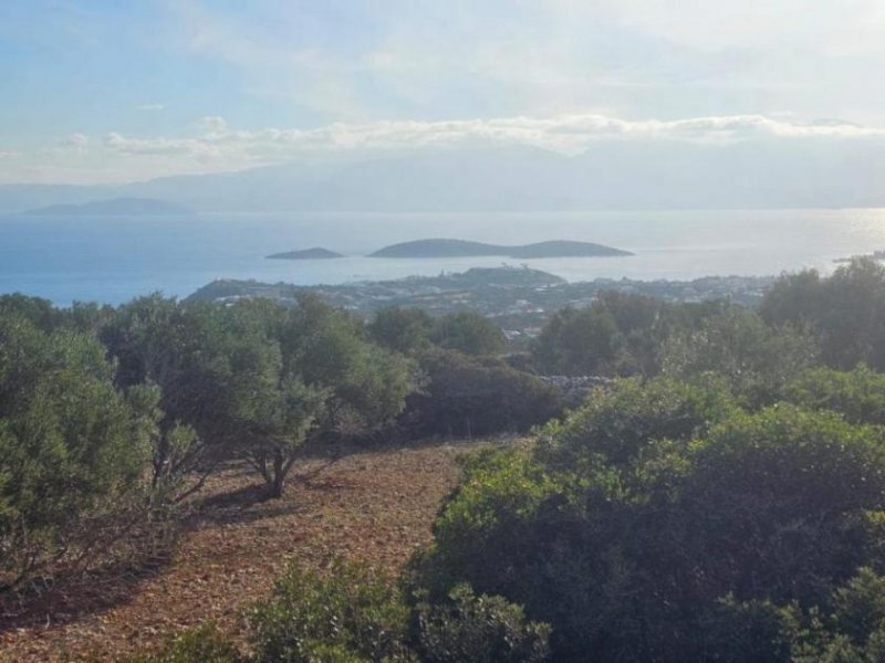 Agios Nikolaos Kreta, Agios Nikolaos: Großes Baugrundstück mit herrlichem Meerblick zu verkaufen Grundstück kaufen